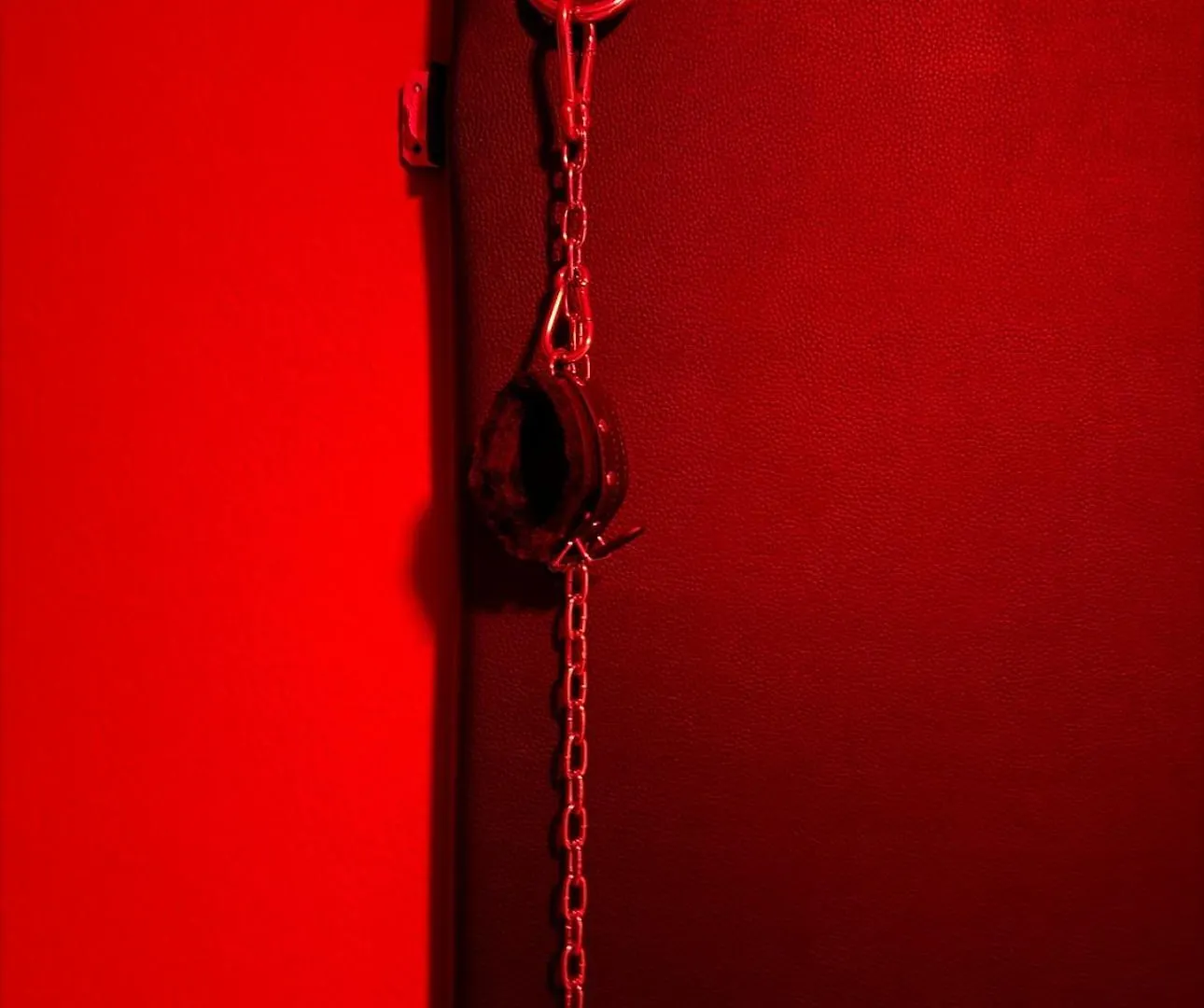 50 Shades Of Vienna Villa 0*,  Austria